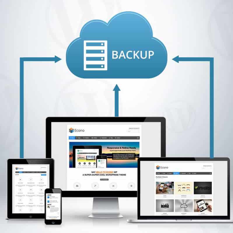 Importance of Website Backup and Protection!